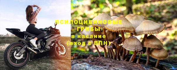 ALPHA PVP Алексин